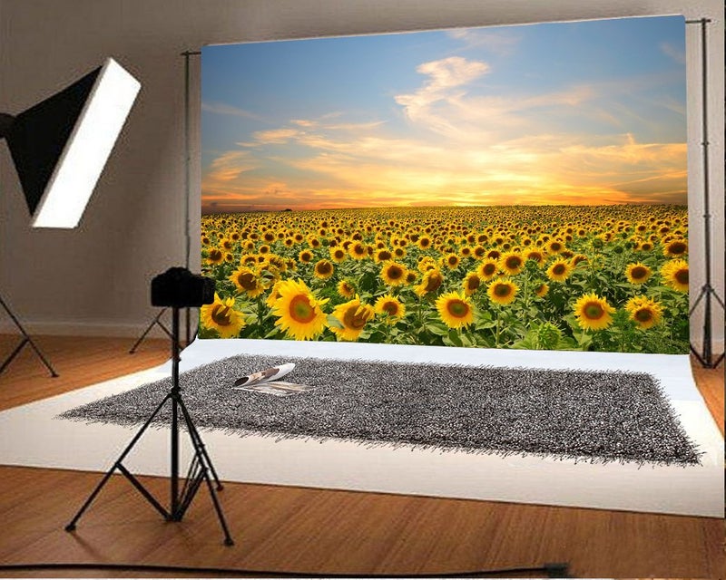 LFEEY 7x5ft Vinyl Sunflowers Field Backdrops for Photography Background Summer Landscape Sunset Blue Sky Outdoor Holiday Party Backdrop Children Adults Portraits Photo Studio - Image 2